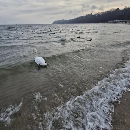 Skwer Kosciuszki Gdynia