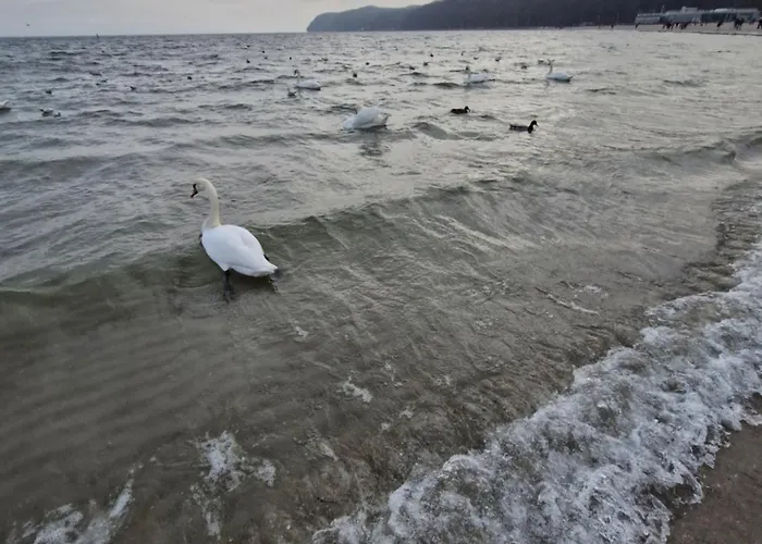 Skwer Kosciuszki Gdyně